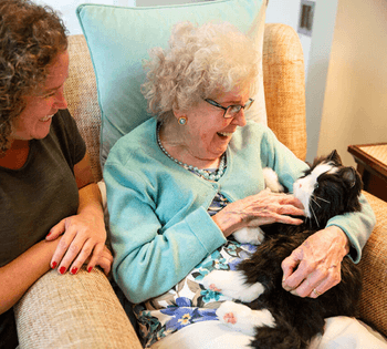 Hovedbilde Eldreomsorg