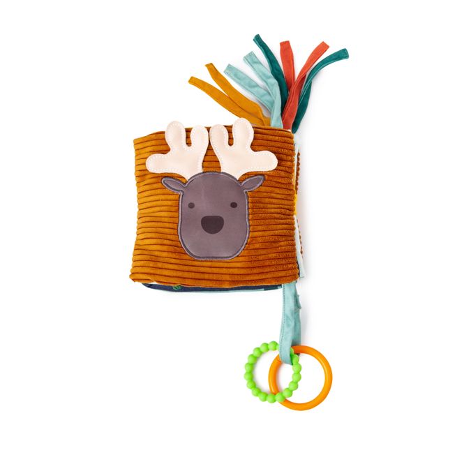 Hovedbilde Aktivitetsbok - Skog